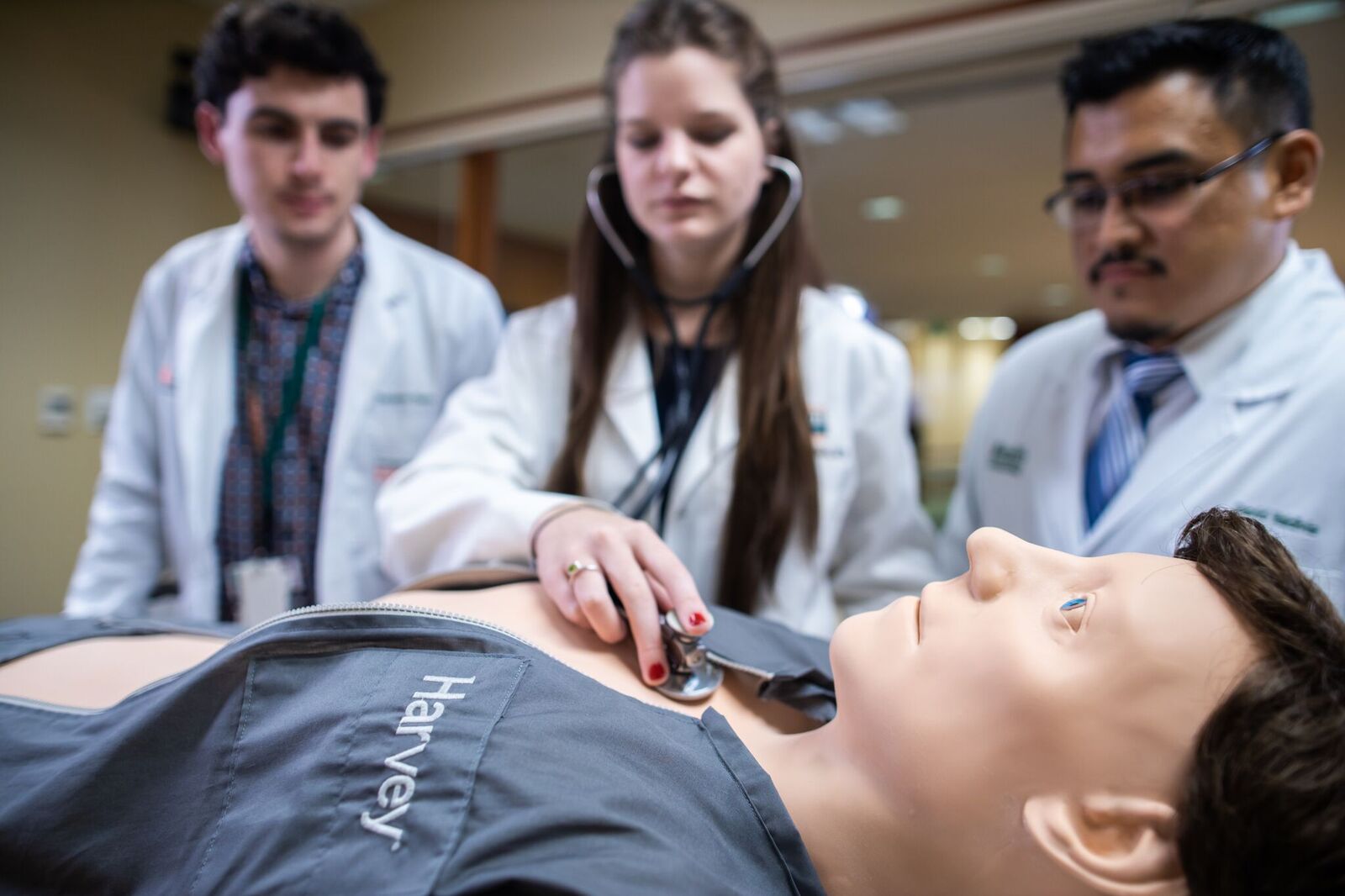 Harvey Cardiopulmonary Simulator